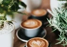 Op-Ed: Why Shade-Grown Coffee is Underutilized and Undervalued in the Coffee Industry