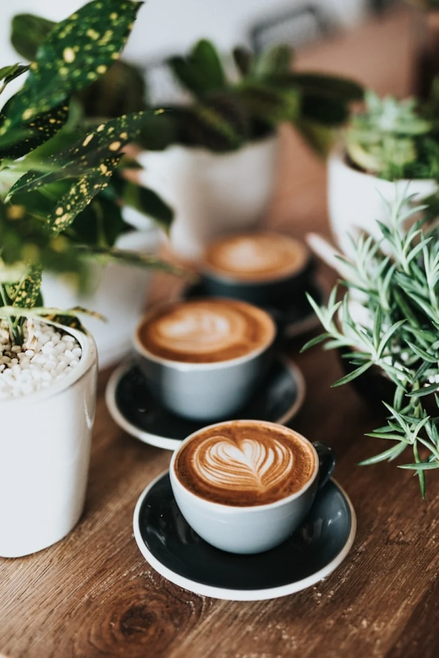 Op-Ed: Why Shade-Grown Coffee is Underutilized and Undervalued in the Coffee Industry